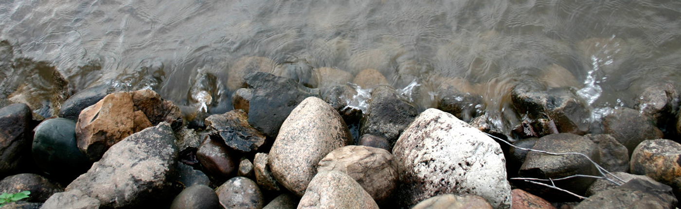 michigan shore