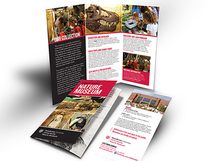 museum brochure